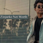 Rohit Zinjurke Net Worth