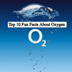 Top 10 Fun Facts About Oxygen